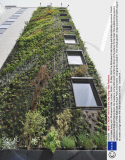 UK's tallest living wall  Athenaeum hotel, London, Britain  - 25 May 2009