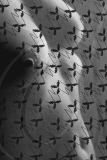 Nudes - Archive
