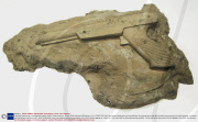 Fossilised versions of antiquated technology, Austin, Texas, America - 02 Jun 2009