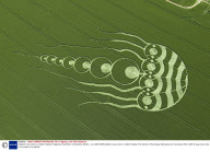 Jellyfish crop circle in a field of barley, Kingstone Coombes, Oxfordshire, Britain - Jun 2009