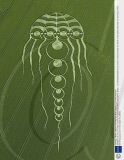 Jellyfish crop circle in a field of barley, Kingstone Coombes, Oxfordshire, Britain - Jun 2009