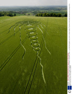 Jellyfish crop circle in a field of barley, Kingstone Coombes, Oxfordshire, Britain - Jun 2009