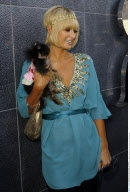 Heiress PARIS HILTON shows off her new $10,000 teacup Pomeranian puppy
