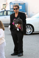 *EXCLUSIVE* Al Pacino shows his kids 31 flavors