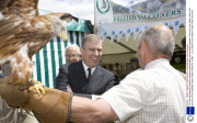 The 2nd International Festival of Falconry sponsored by the Emirates Falconers' Club from Abu Dhabi  held in the grounds of the Englefield Estate,Theale, Berkshire, Britain - 12 Jul 2009