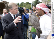 The 2nd International Festival of Falconry sponsored by the Emirates Falconers' Club from Abu Dhabi  held in the grounds of the Englefield Estate,Theale, Berkshire, Britain - 12 Jul 2009