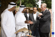 The 2nd International Festival of Falconry sponsored by the Emirates Falconers' Club from Abu Dhabi  held in the grounds of the Englefield Estate,Theale, Berkshire, Britain - 12 Jul 2009