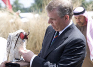 Prince Andrew At Falconry Festival