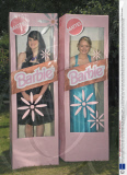 Two girls dress as life-size Barbie dolls complete with boxes, Fair Oak, Hampshire, Britain - 07 Jul 2009
