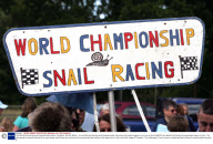 The 2009 Snail Racing world championships held at  Congham, Norfolk, Britain - 18 Jul 2009