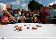 The 2009 Snail Racing world championships held at  Congham, Norfolk, Britain - 18 Jul 2009