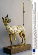Taxidermy without animals by Geoffrey Gorman, Santa Fe, New Mexico, America - Jul 2009