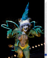 New Zealand Body Art Awards 2009, Bruce Mason Centre, Takapuna, Auckland, New Zealand - 25 Jul 2009