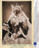 Animal Ancestors pet portraits, America - Jul 2009