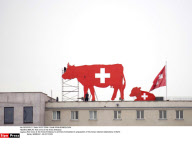 BERLIN: Red cows at the Swiss Embassy
