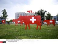 BERLIN: Red cows at the Swiss Embassy