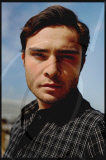 English actor Ed Westwick