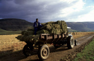 tractor and trailor with hay bails