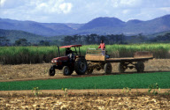 tractor at harvest time