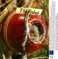 Freddie the Harvest Mouse Sheltering Inside a Cricket Ball at Secret World Animal Rescue Centre in Somerset, Britain - Aug 2009