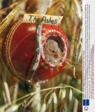 Freddie the Harvest Mouse Sheltering Inside a Cricket Ball at Secret World Animal Rescue Centre in Somerset, Britain - Aug 2009