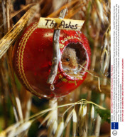 Freddie the Harvest Mouse Sheltering Inside a Cricket Ball at Secret World Animal Rescue Centre in Somerset, Britain - Aug 2009