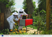 Beehaus urban beekeeping, Britain - Aug 2009