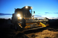 harvest