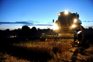 harvest