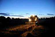 harvest