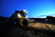 harvest