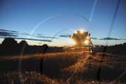 harvest