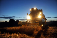 harvest