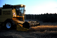 harvest