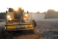 harvest