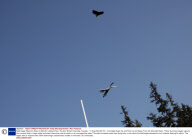 Bald Eagle Attacks a Swan in Mid-Air, Lakelse River, Terrace, British Columbia, Canada - 11 Aug 2009