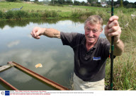 Ducklings fished from drain by fisherman, Colyford, Devon, Britain - 12 Aug 2009