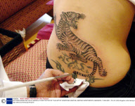 ACTRESS ANGELINA JOLIE HAVING A TIGER TATTOO BY THAI ARTIST SOMPONG KANPHAI, MAYFAIR APARTMENTS, BANGKOK, THAILAND - O8 JUL 2004