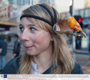 Bio-accessories bring the natural world to urban dwellers, Melbourne, Australia - Aug 2009