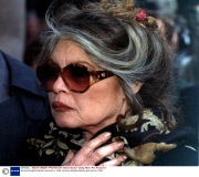 Actress Brigitte Bardot pictured in 1995.