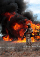 (1)MEXICO-SONORA-MARIJUANA-INCINERATE