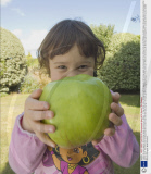 Toddler discovers gigantic 2lb bramley apple, Bournemouth, Britain - 01 Sep 2009