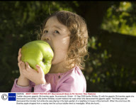 Toddler discovers gigantic 2lb bramley apple, Bournemouth, Britain - 01 Sep 2009