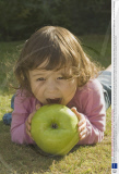 Toddler discovers gigantic 2lb bramley apple, Bournemouth, Britain - 01 Sep 2009