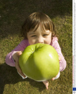 Toddler discovers gigantic 2lb bramley apple, Bournemouth, Britain - 01 Sep 2009