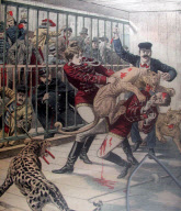 Colour Book Illustration