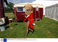 GIFFORDS CIRCUS - 15 JUL 2005