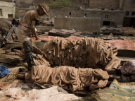 salesman of animal skin