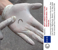 Lifesaving surgery for Florence the shark, Sea Life Centre, Weymouth, Britain  - 21 Sep 2009