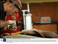 Lifesaving surgery for Florence the shark, Sea Life Centre, Weymouth, Britain  - 21 Sep 2009